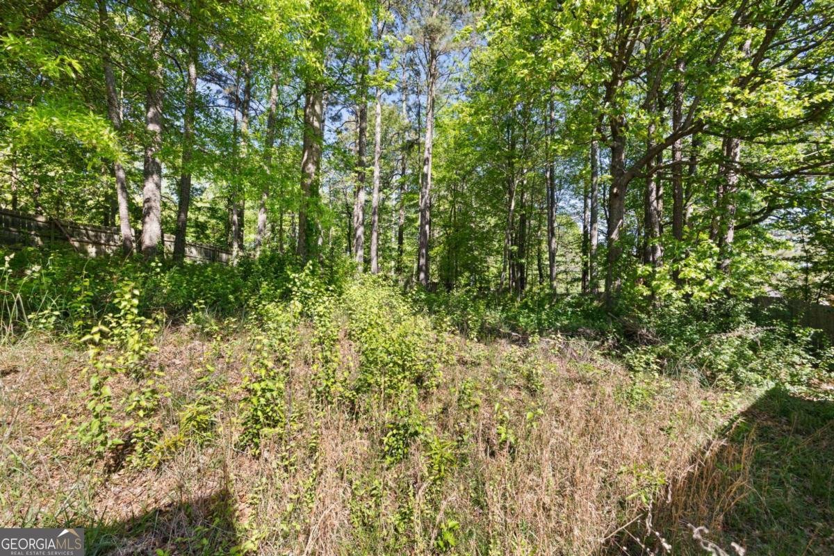 2620 Abbotts Glen Drive Acworth - Photo 28