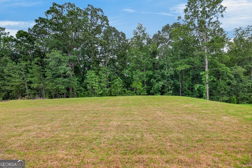 180 Pickens Bluff Lane Hiram - Photo 41