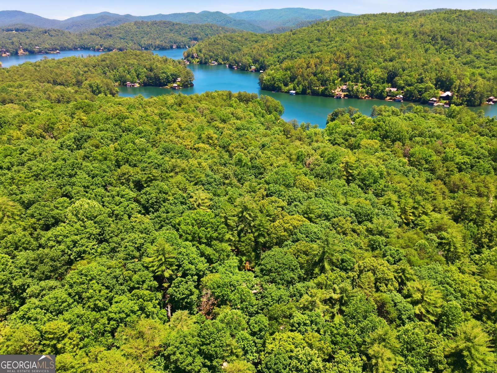 4671 Laurel Lodge Road Clarkesville - Photo 42