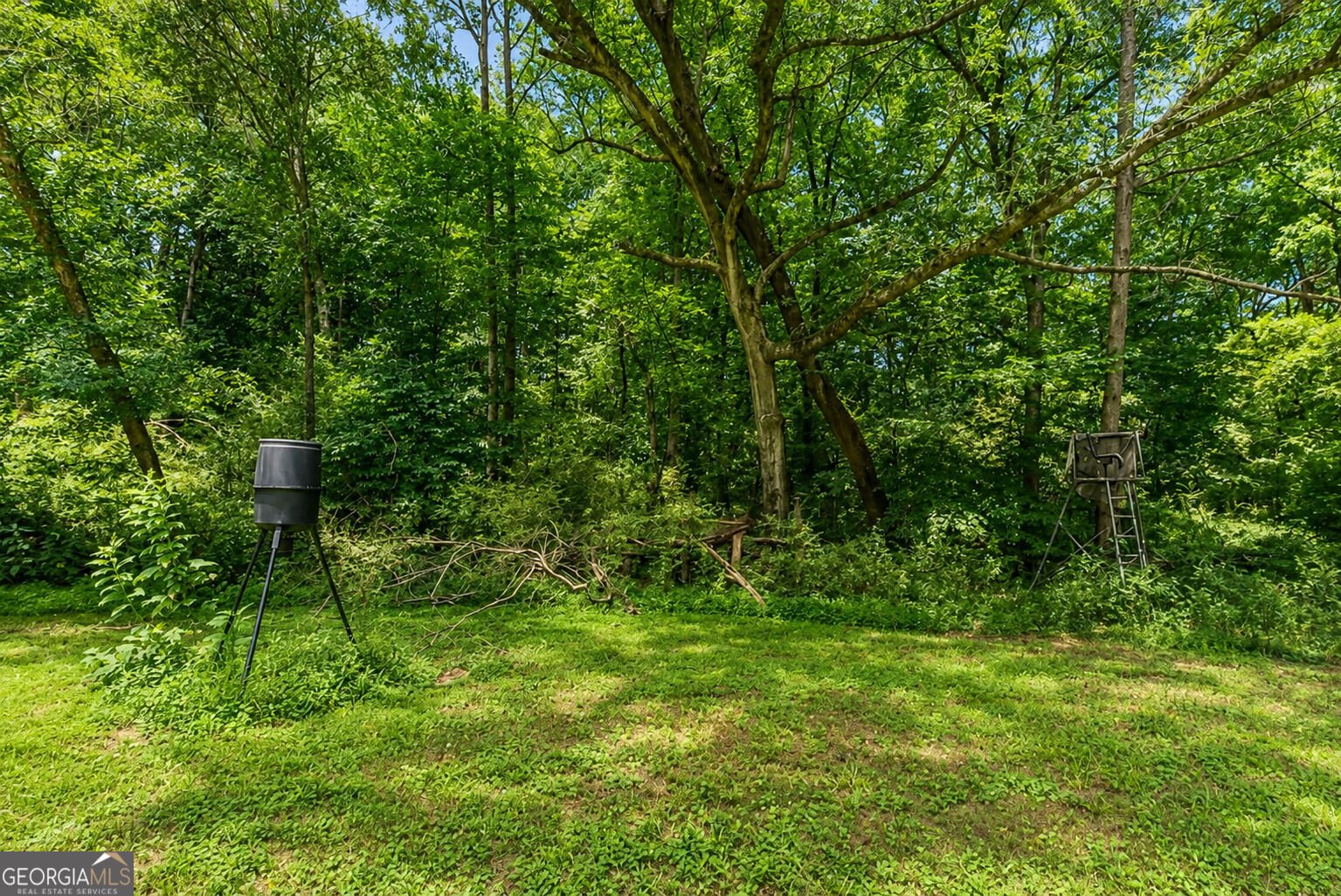 235 Brooks Road Pendergrass - Photo 24
