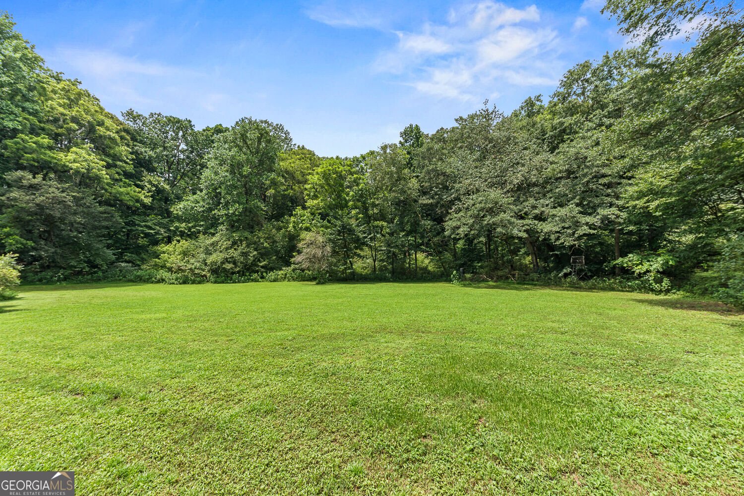 235 Brooks Road Pendergrass - Photo 58