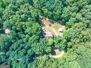 600 Smith Fork Drive Demorest - Photo 43