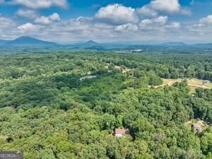 600 Smith Fork Drive Demorest - Photo 55