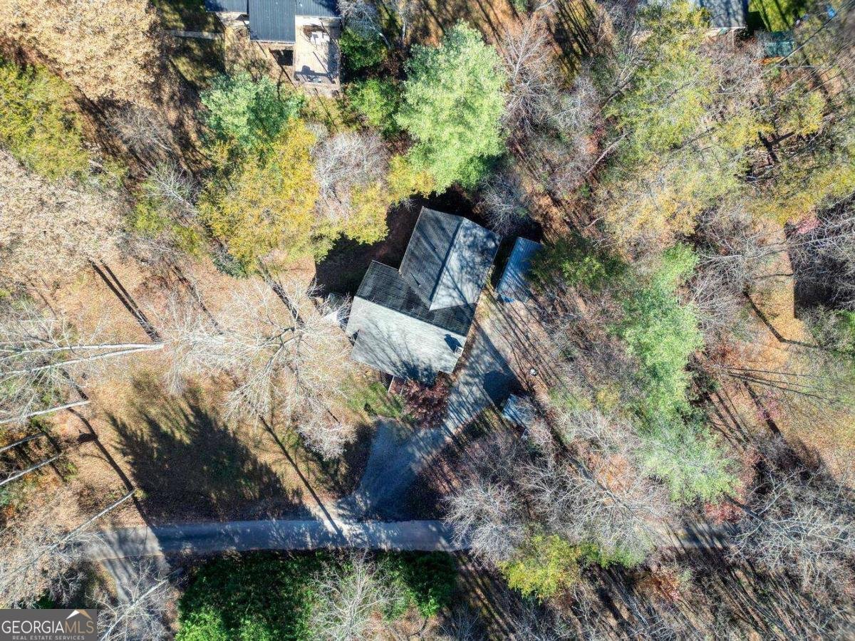 541 Rizzitello Lane Blairsville - Photo 41