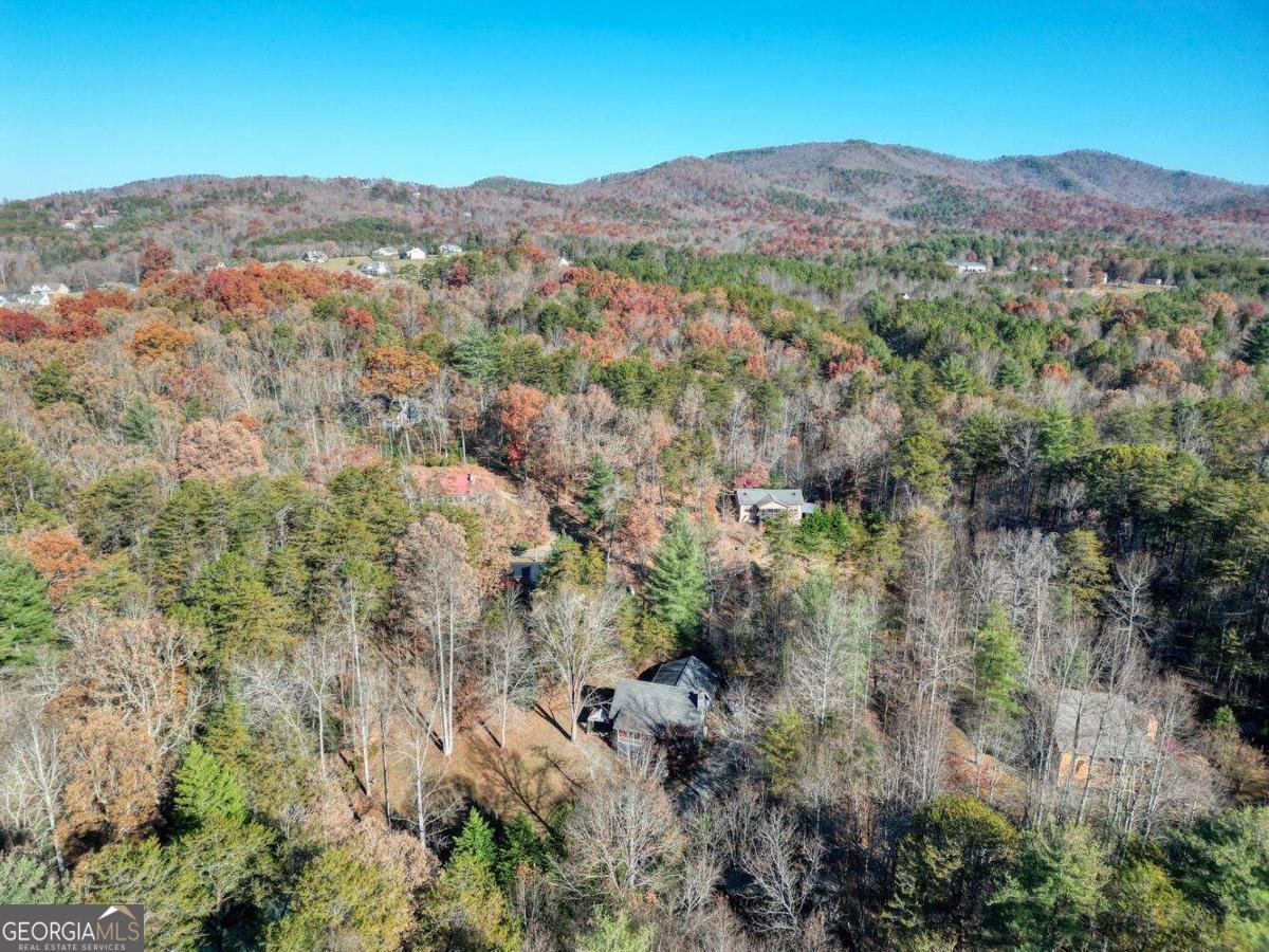 541 Rizzitello Lane Blairsville - Photo 42