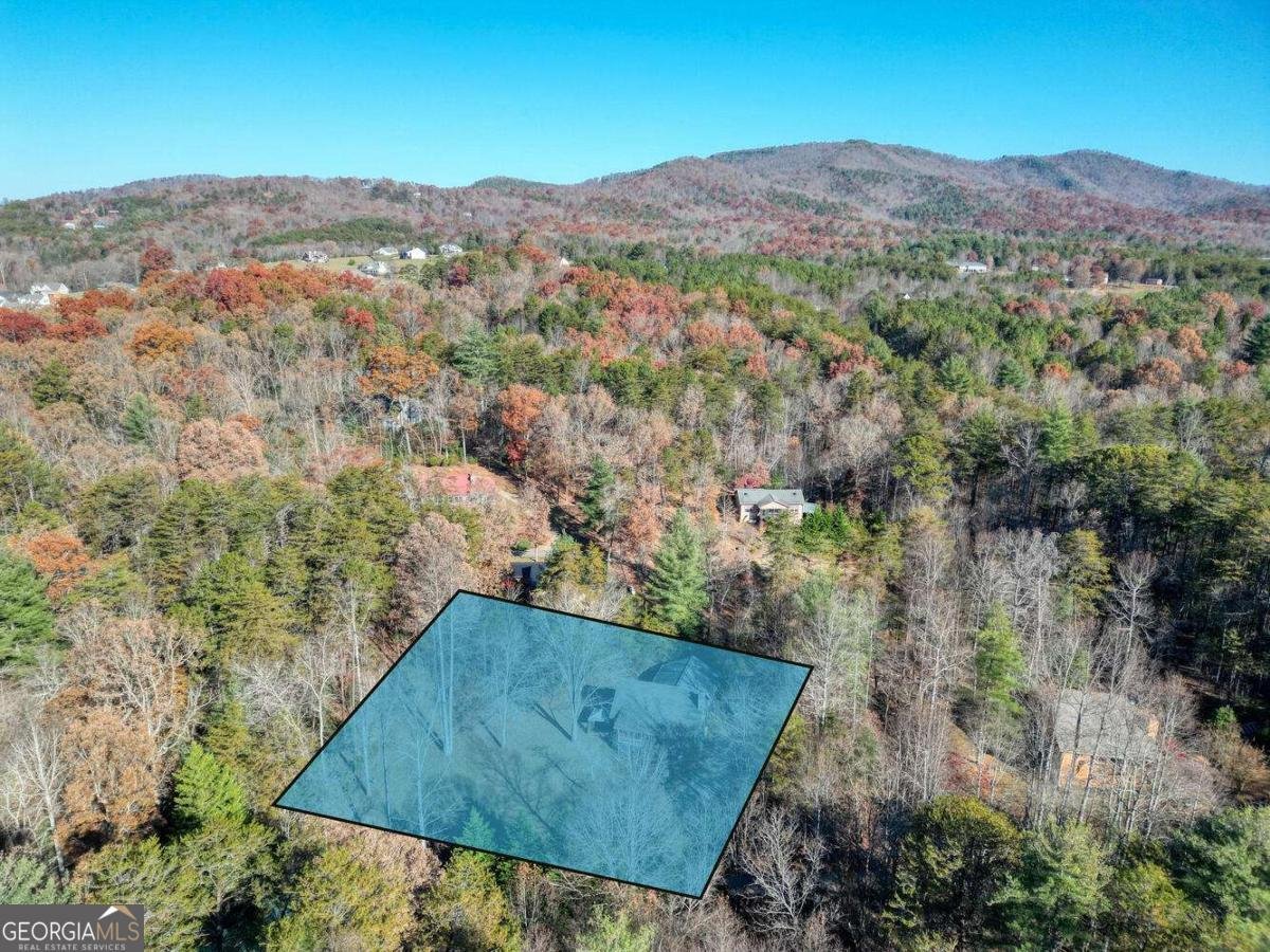 541 Rizzitello Lane Blairsville - Photo 43