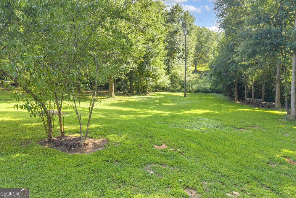 1306 Highway 145 Eastanollee - Photo 46