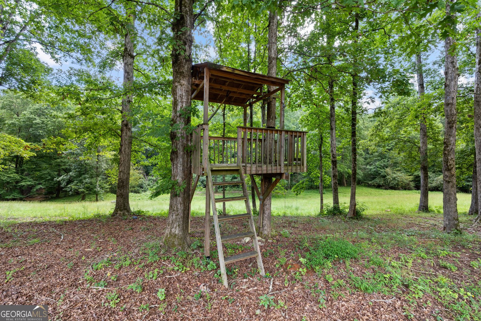 598 Elliott Road McDonough - Photo 72