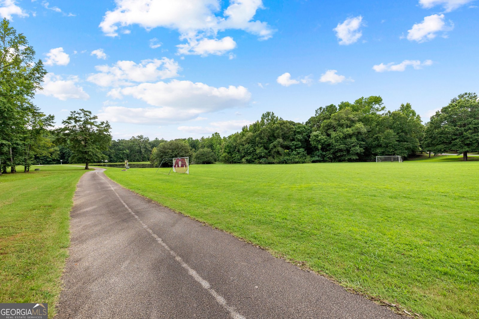 598 Elliott Road McDonough - Photo 78