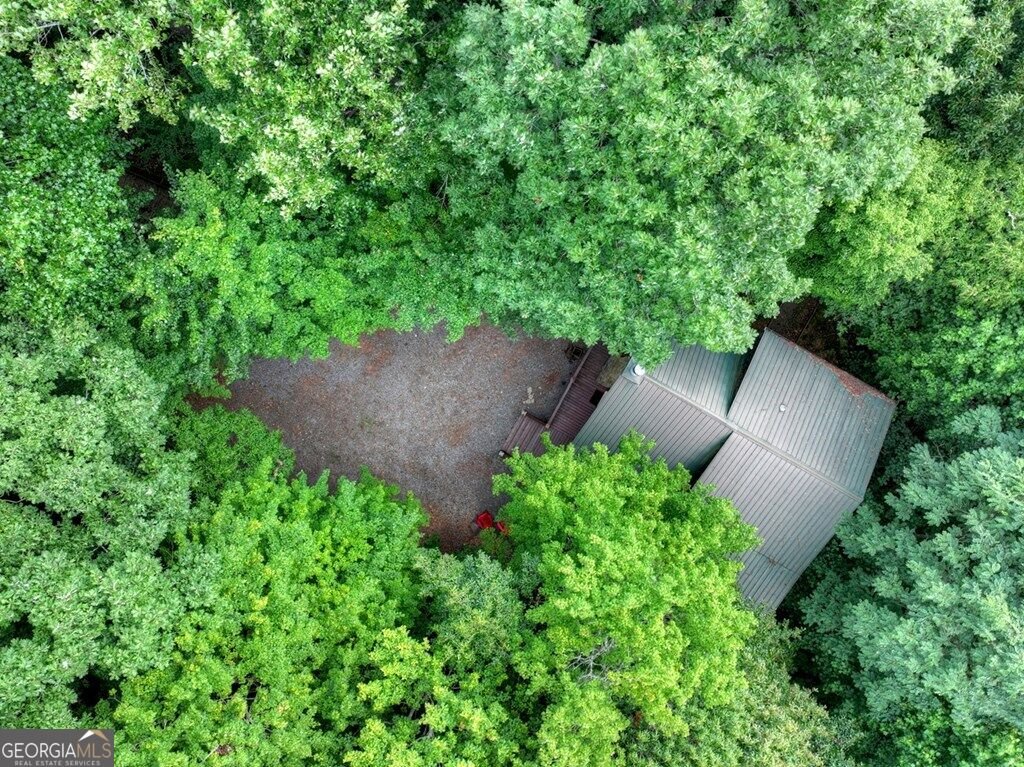 541 Little Bushy Head Road Blue Ridge - Photo 10