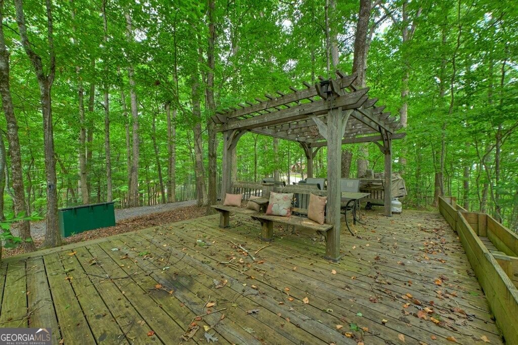 541 Little Bushy Head Road Blue Ridge - Photo 12