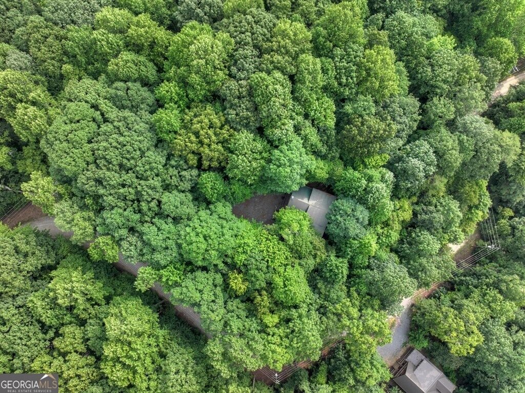 541 Little Bushy Head Road Blue Ridge - Photo 8