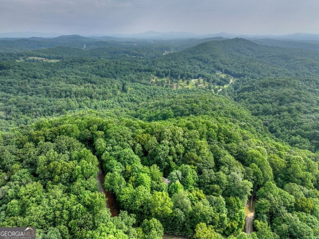 541 Little Bushy Head Road Blue Ridge - Photo 9