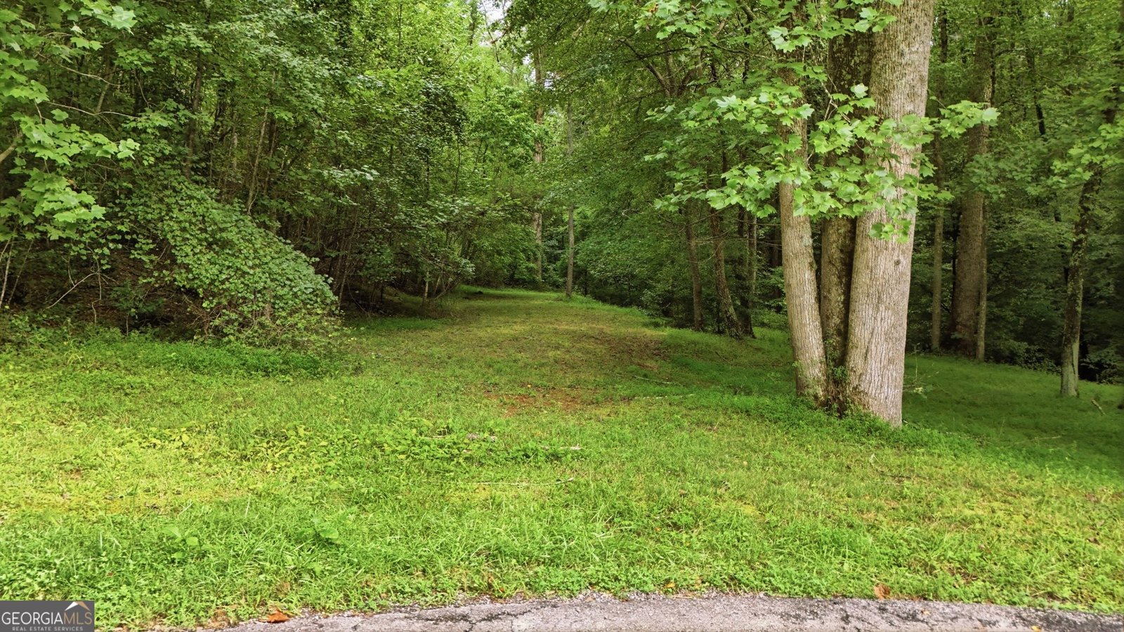315 Duncan Bridge Lane Cornelia - Photo 63