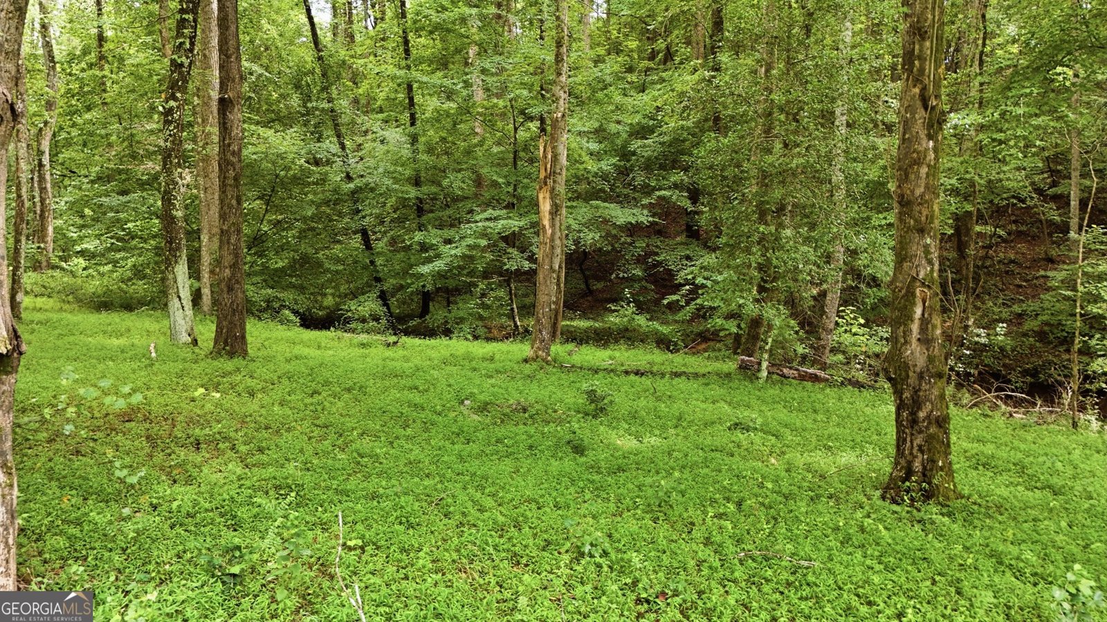315 Duncan Bridge Lane Cornelia - Photo 64