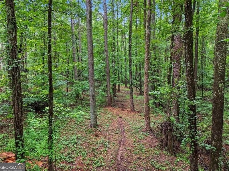 468 Sweetwater Church Road Douglasville - Photo 92