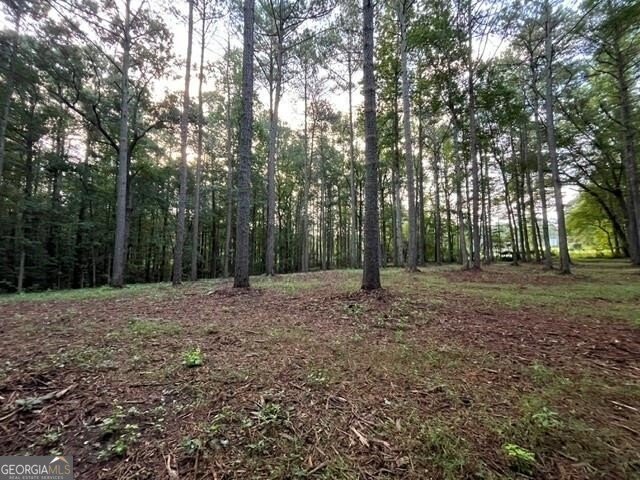 468 Sweetwater Church Road Douglasville - Photo 94