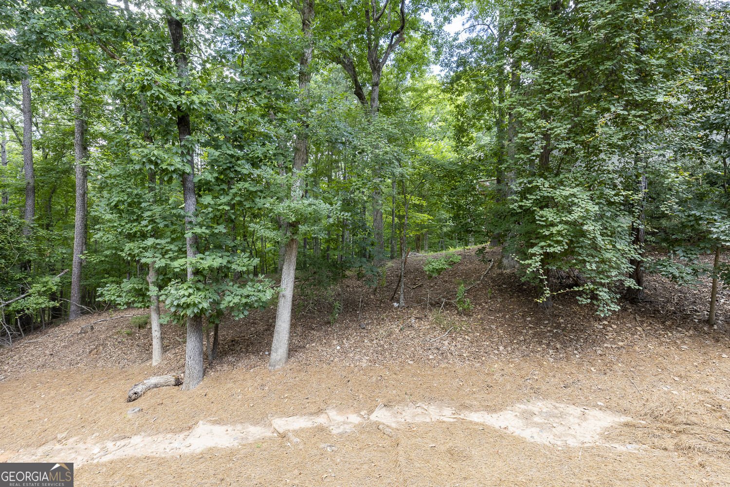 8445 Sentinae Chase Drive Roswell - Photo 64