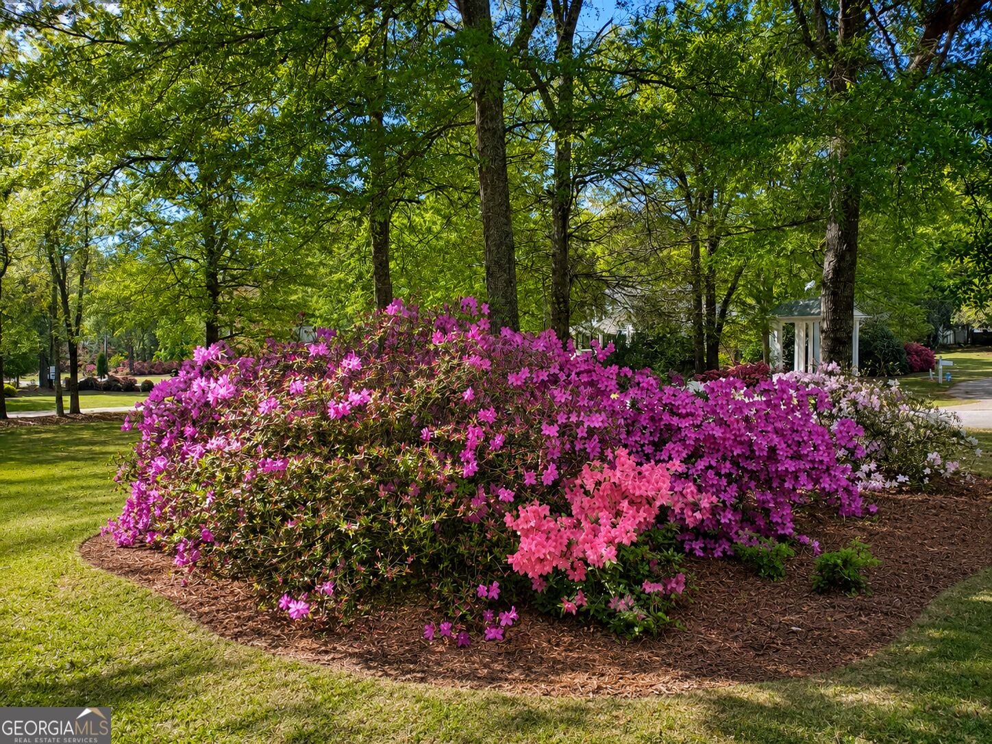 381 Hickory Ridge Road Jackson - Photo 32