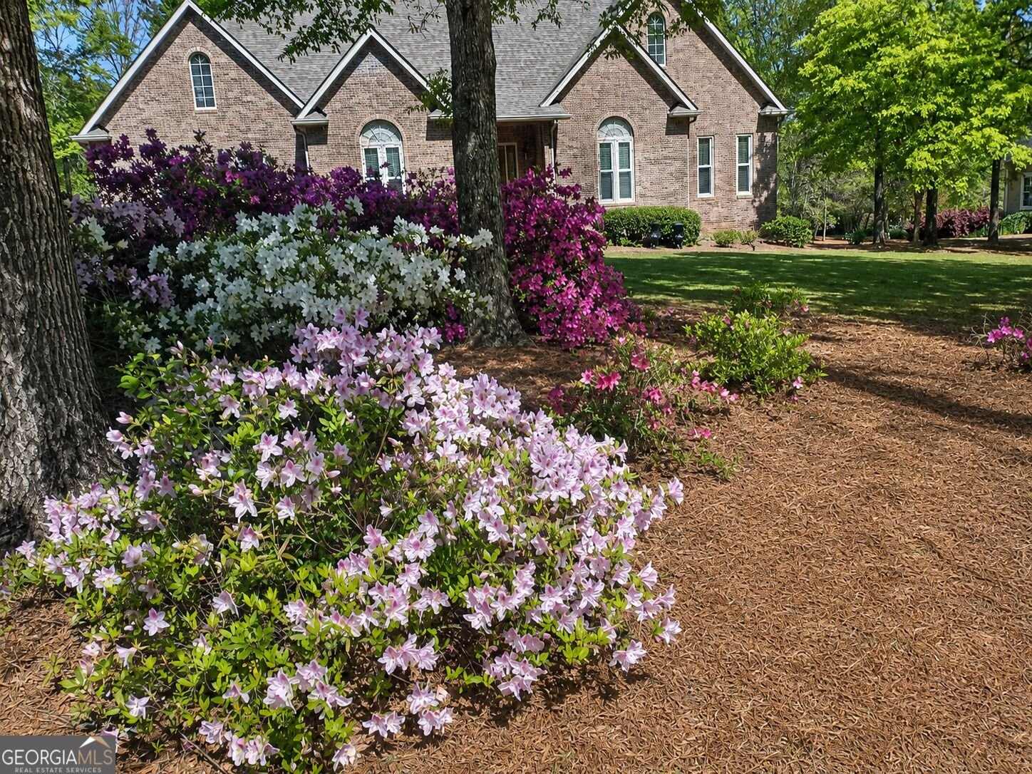 381 Hickory Ridge Road Jackson - Photo 33