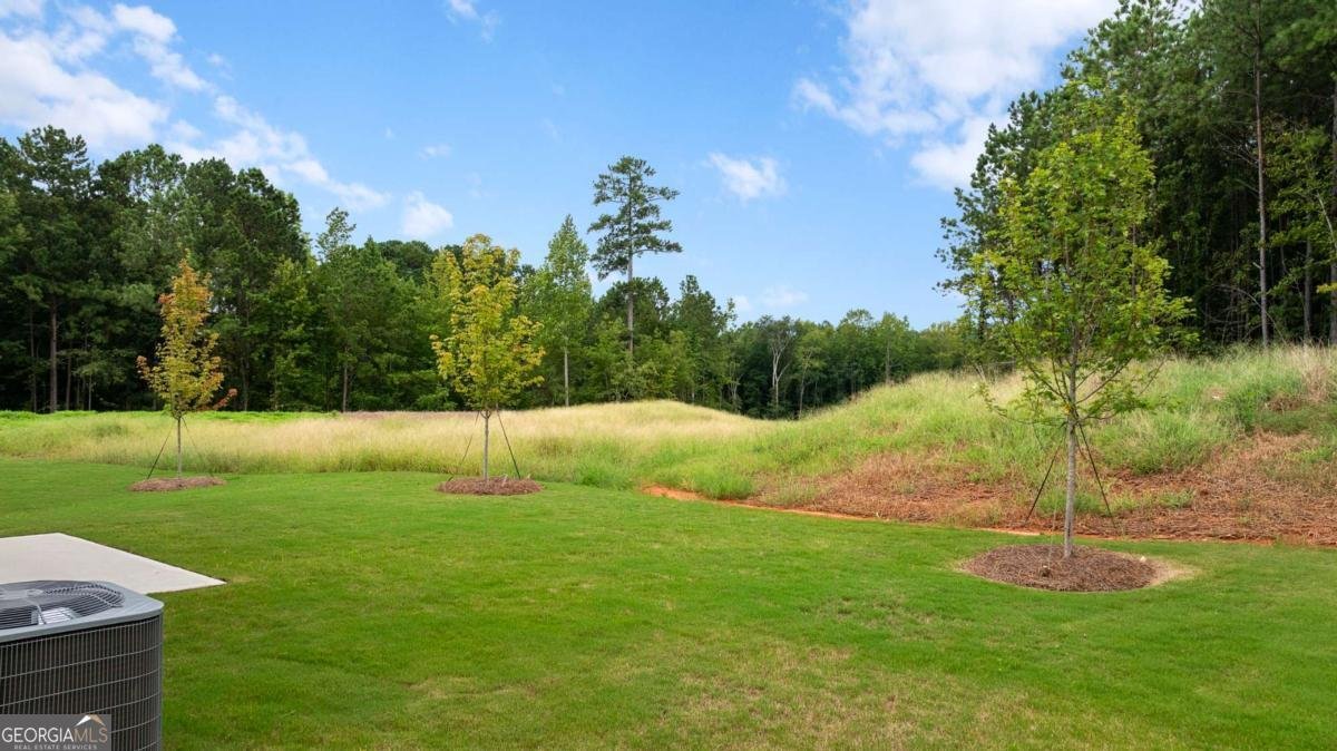 1290 Harmony Ridge Court Jonesboro - Photo 45
