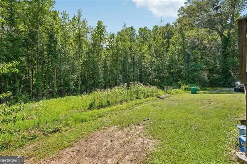1036 Creighton Road Ball Ground - Photo 39