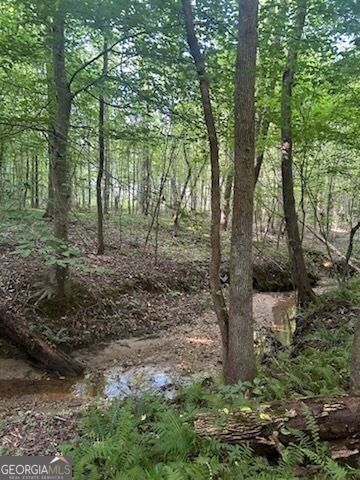 1036 Creighton Road Ball Ground - Photo 43