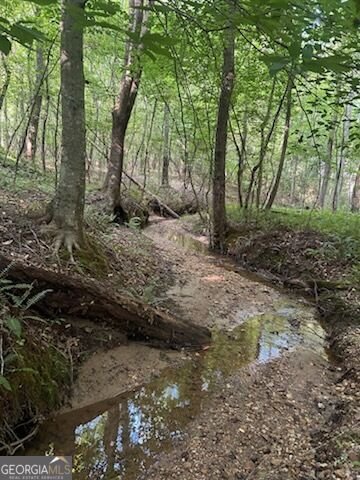 1036 Creighton Road Ball Ground - Photo 44