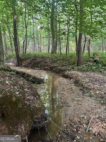 1036 Creighton Road Ball Ground - Photo 45