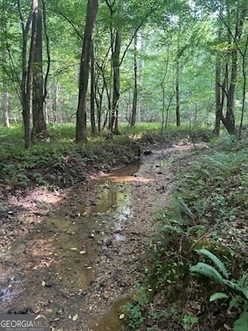 1036 Creighton Road Ball Ground - Photo 46