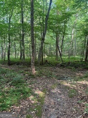 1036 Creighton Road Ball Ground - Photo 47