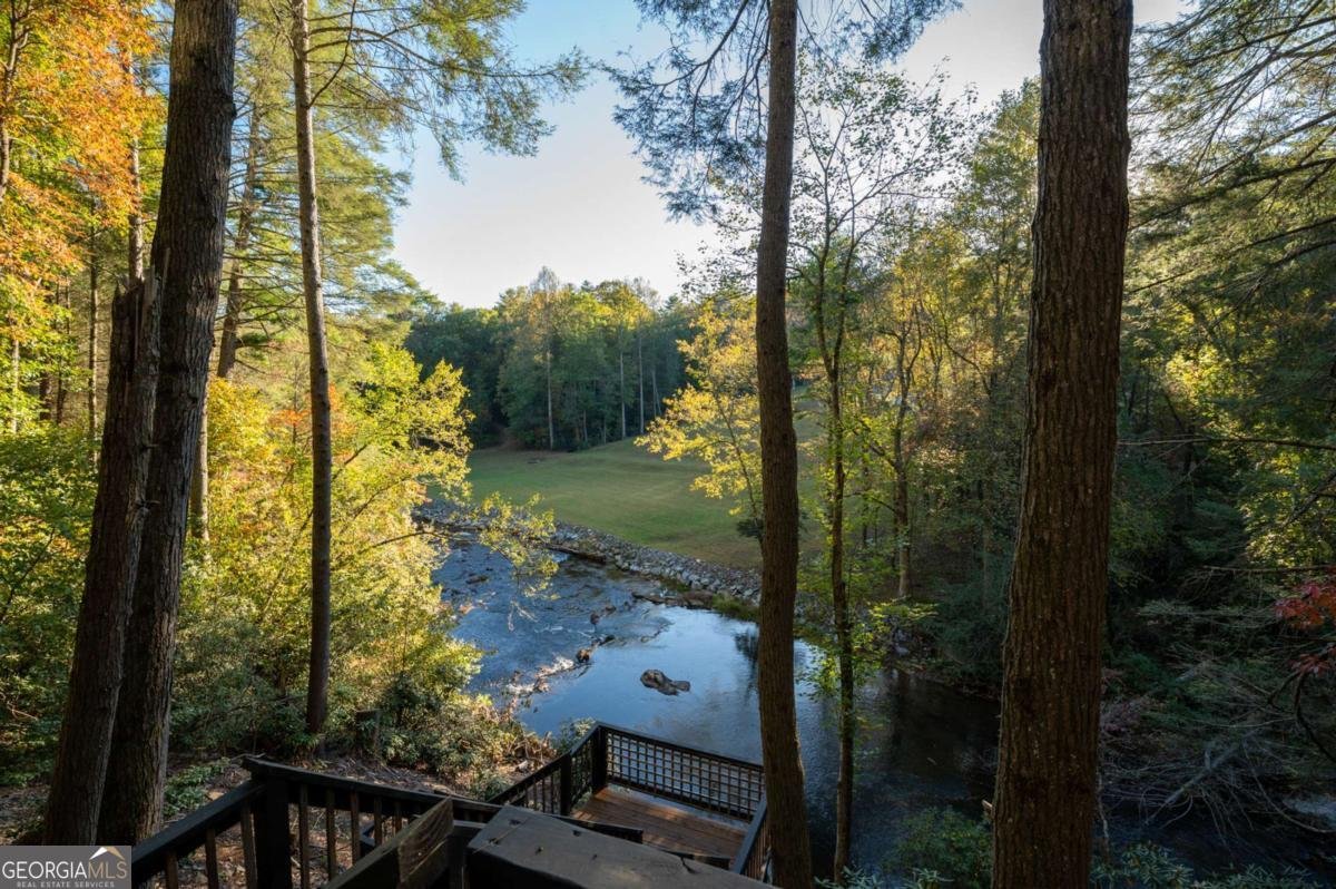 35 Dogwood Riverside Drive Blue Ridge - Photo 42
