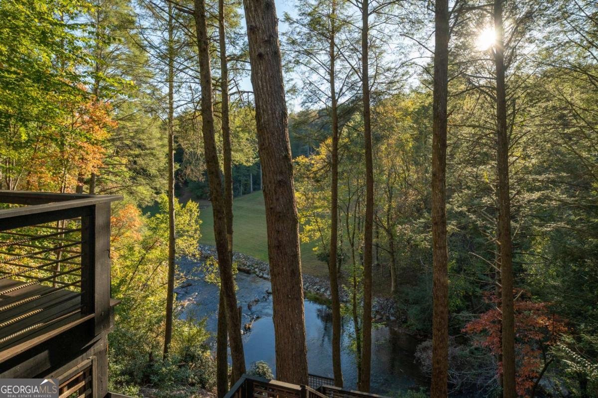 35 Dogwood Riverside Drive Blue Ridge - Photo 43