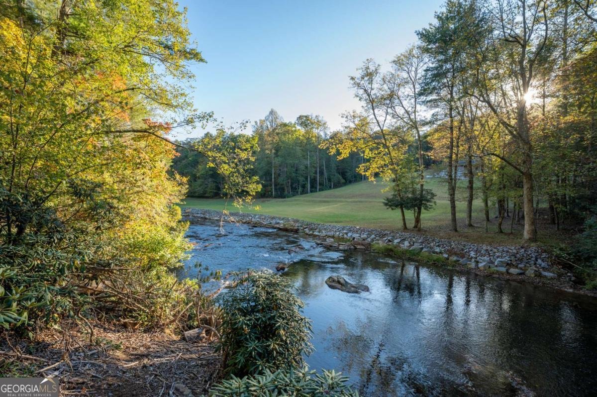 35 Dogwood Riverside Drive Blue Ridge - Photo 44