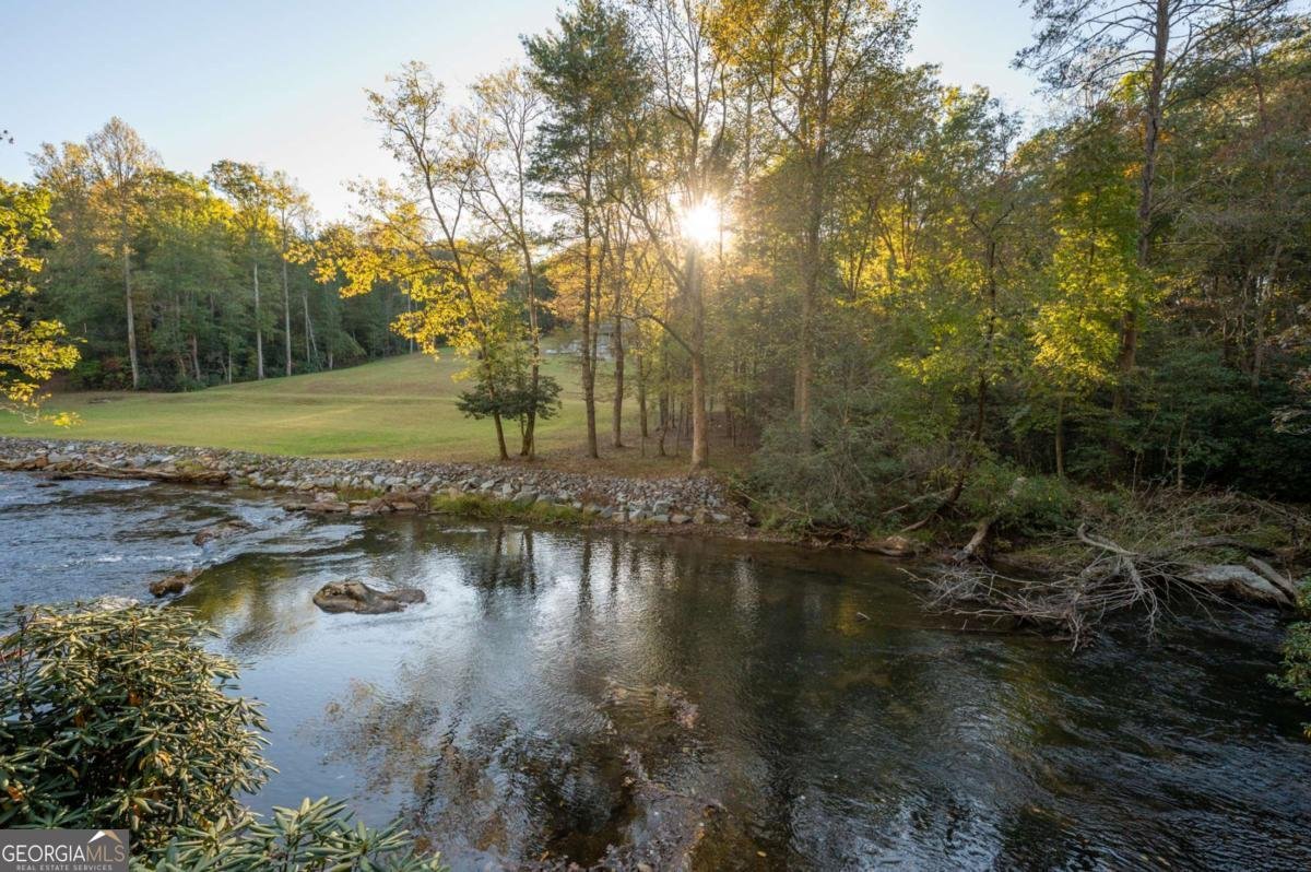 35 Dogwood Riverside Drive Blue Ridge - Photo 45