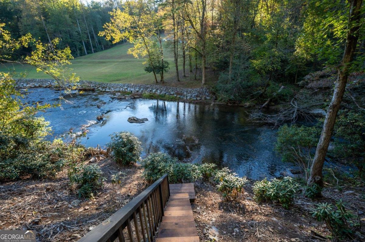 35 Dogwood Riverside Drive Blue Ridge - Photo 46