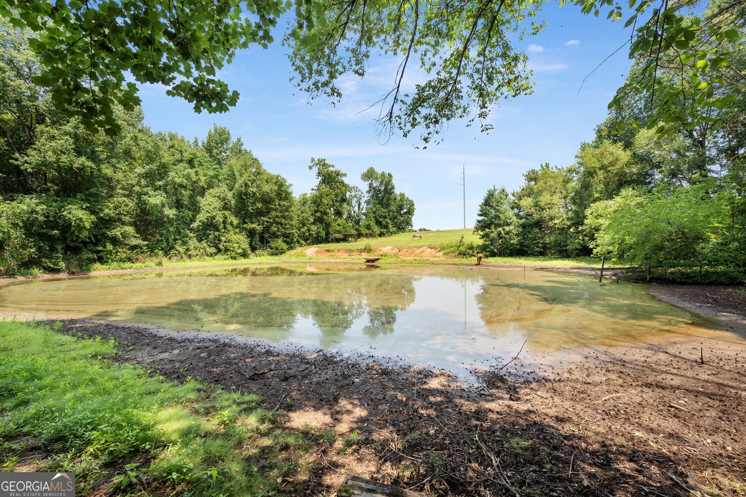 180 River Cove Road Social Circle - Photo 54