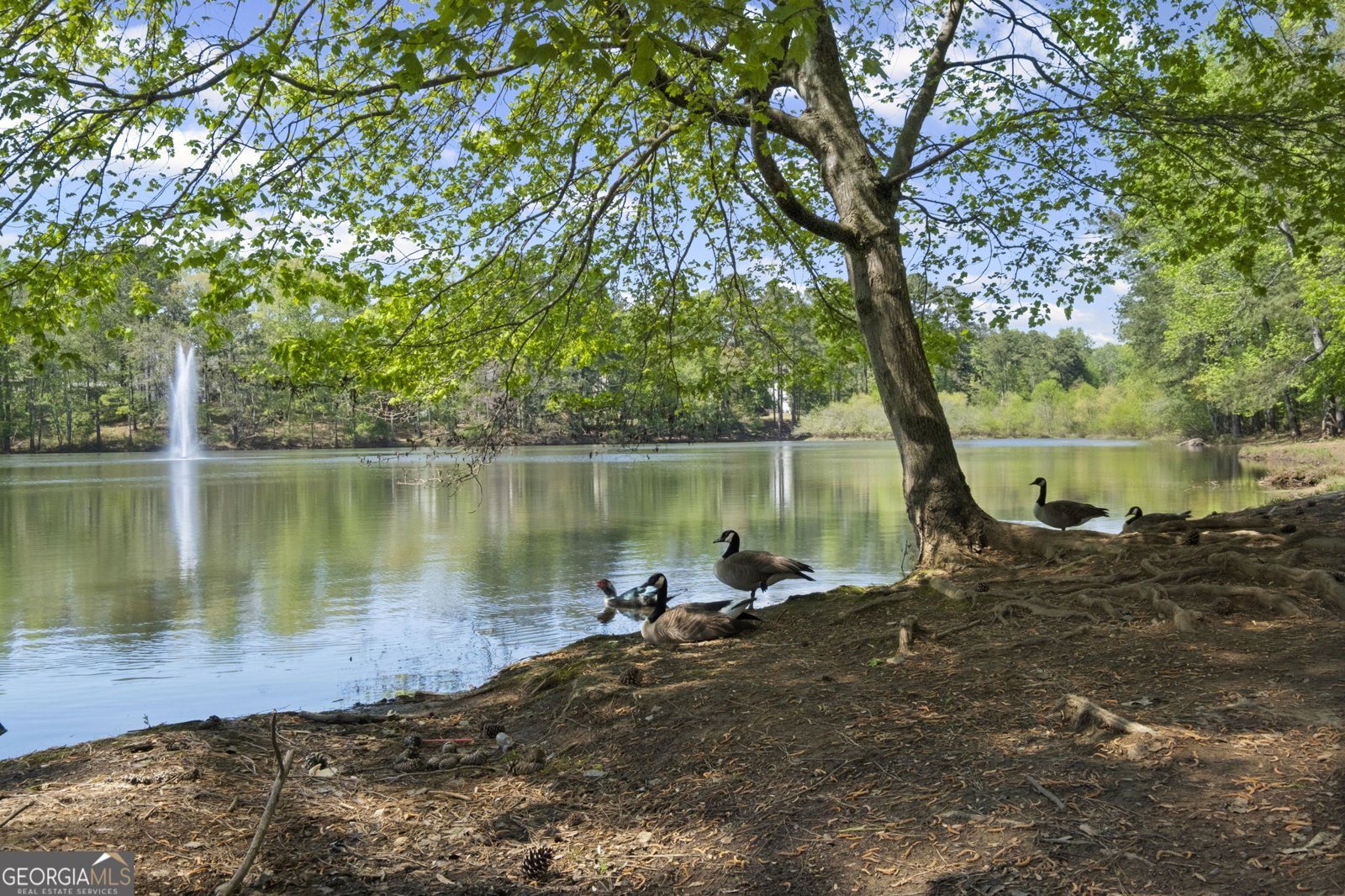 3976 Palisades Main Kennesaw - Photo 84