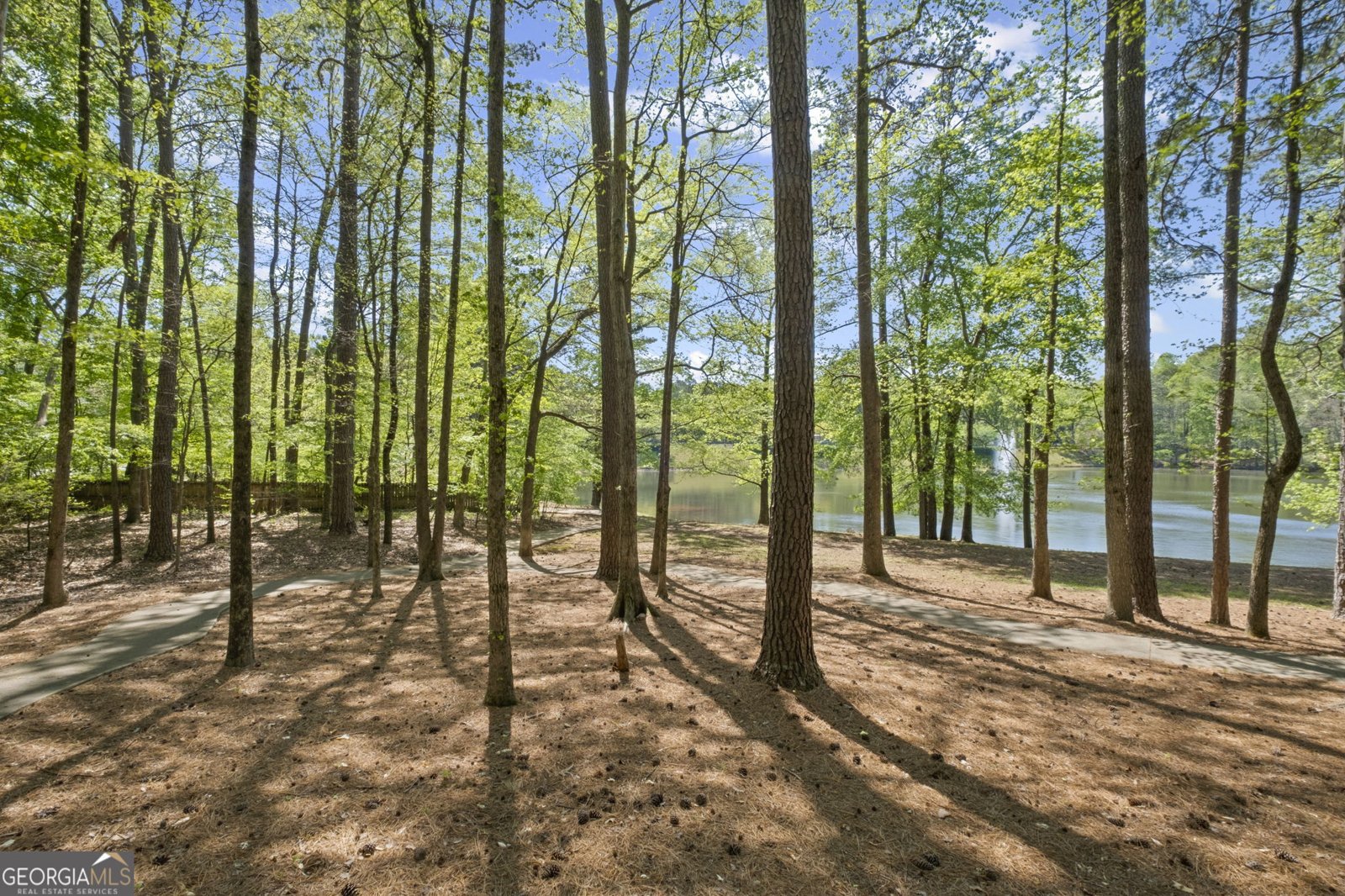 3976 Palisades Main Kennesaw - Photo 86