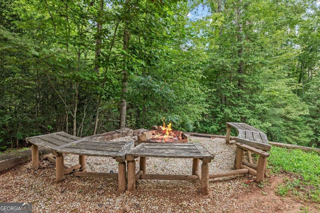 262 White Pine Acres Drive Blue Ridge - Photo 29