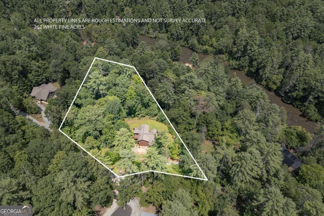 262 White Pine Acres Drive Blue Ridge - Photo 35