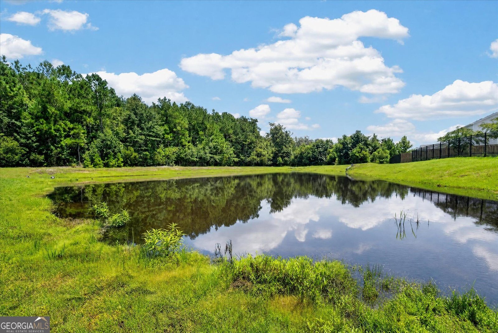 20 Nettleton Lane Richmond Hill - Photo 49