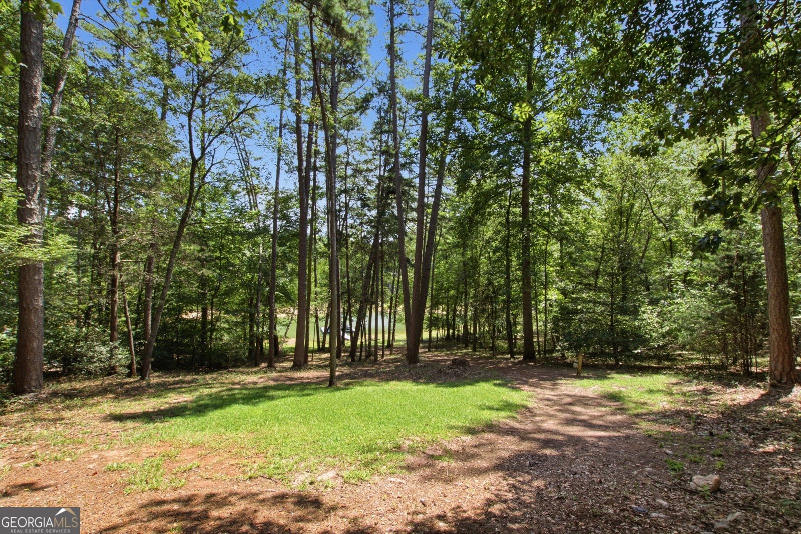 834 Hardy Road Martin - Photo 49