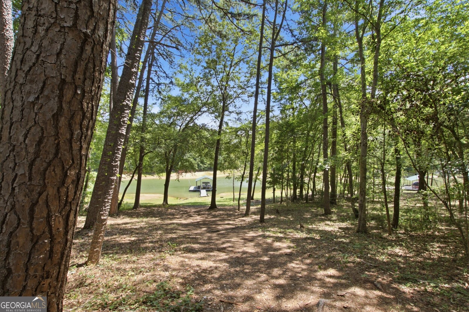 834 Hardy Road Martin - Photo 50