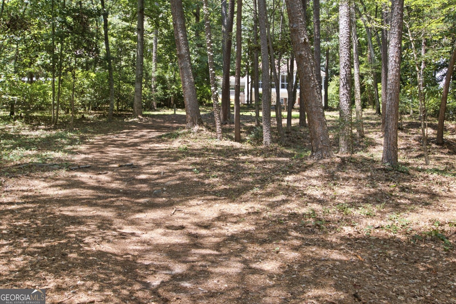 834 Hardy Road Martin - Photo 54
