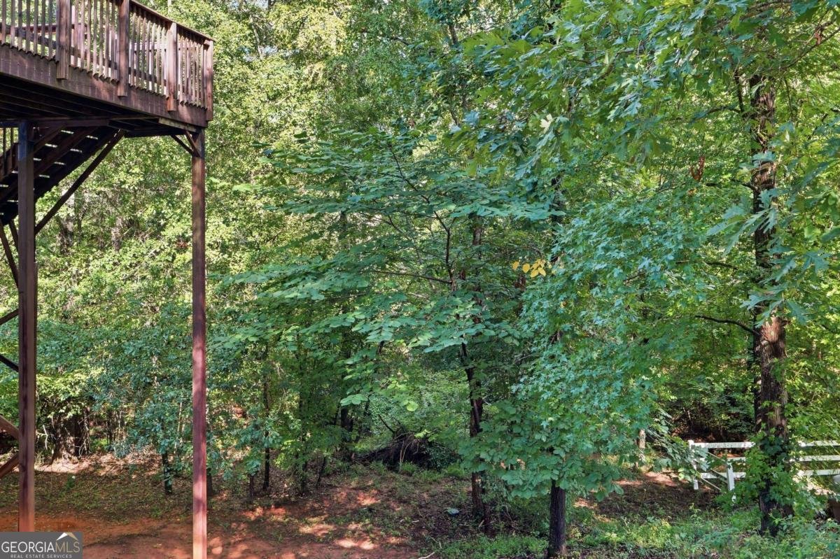 670 Chaseridge Drive Mcdonough - Photo 29