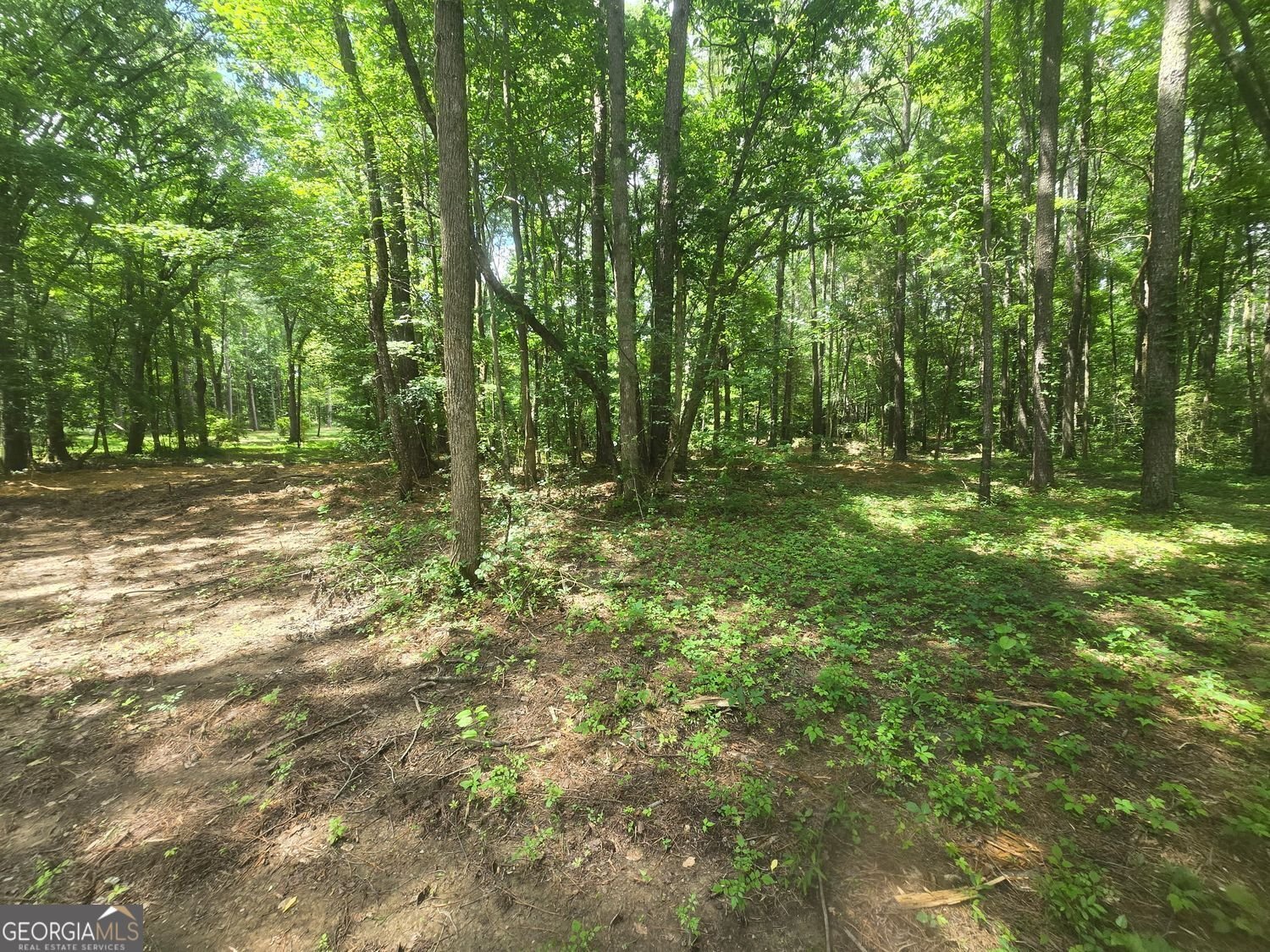 966 Judkin Mill Road Cedartown - Photo 10