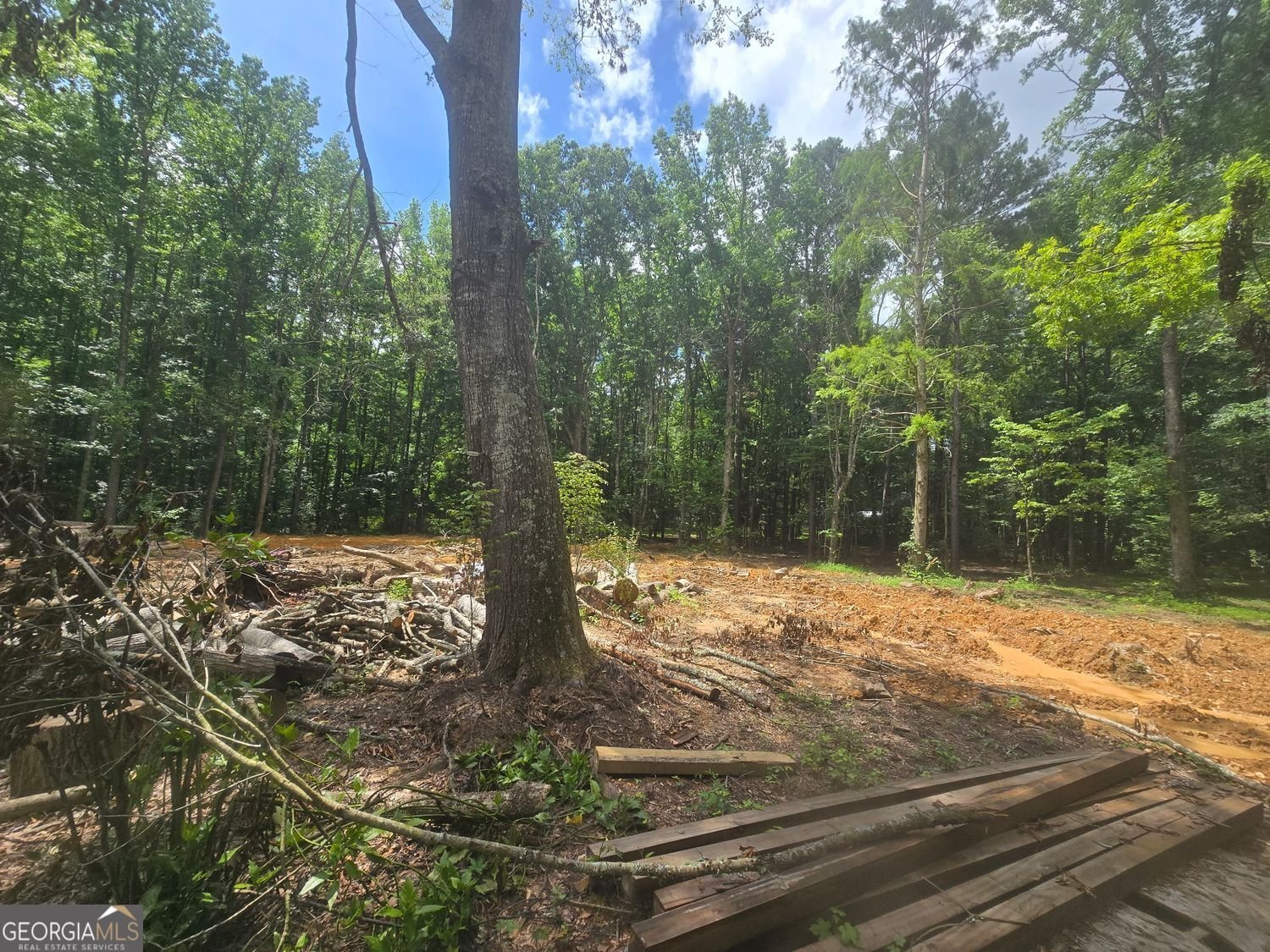 966 Judkin Mill Road Cedartown - Photo 7