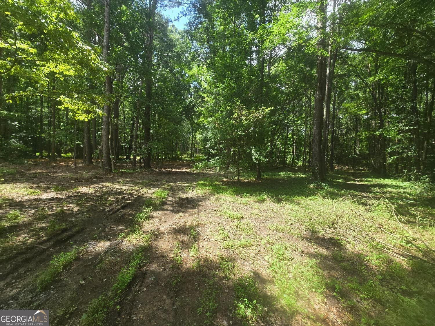 966 Judkin Mill Road Cedartown - Photo 8