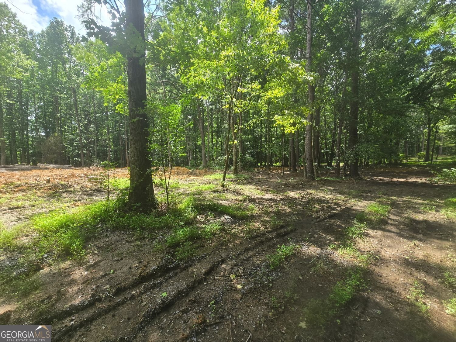 966 Judkin Mill Road Cedartown - Photo 9